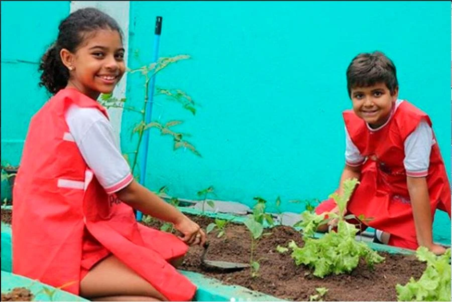 Alunos plantando na horta